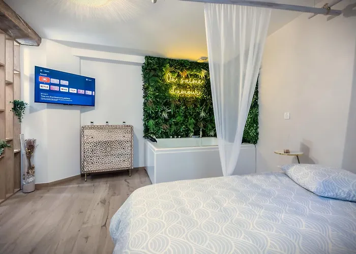 L'eden Zen - Jacuzzi, Parking, Clim, Netflix *